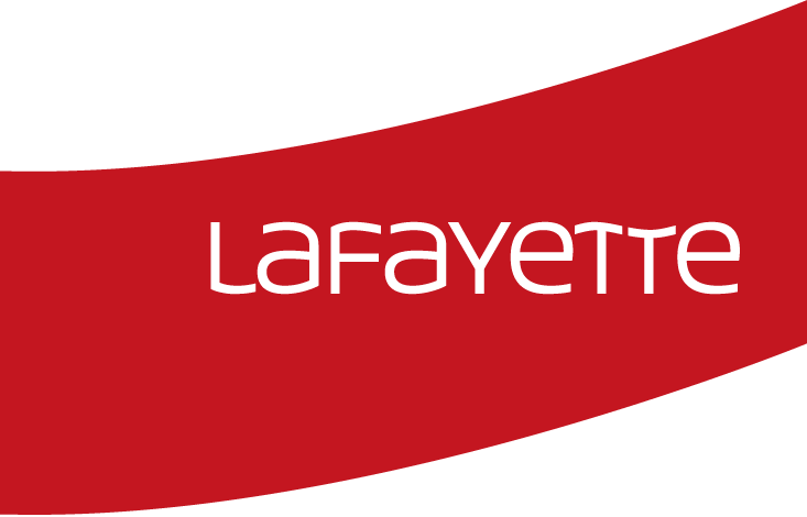 consultor virtual
